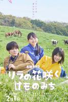 丁香花电影百度云播放器